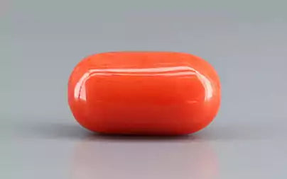 Red Coral (Moonga) - 10.18 Carats