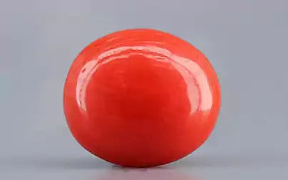 Red Coral - 3.97 Carats (Moonga - 4.33 Ratti)