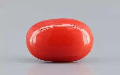 Red Coral - 4.72 Carats (Moonga - 5.14 Ratti)
