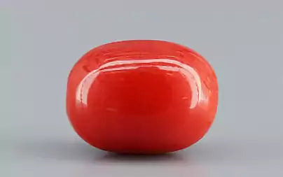 Red Coral (Moonga) - 3.71 Carats
