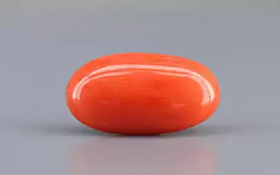 Red Coral (Moonga) - 6.44 Carats