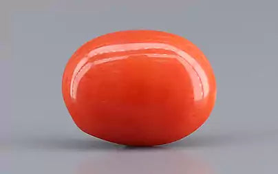 Red Coral (Moonga) - 4.40 Carats
