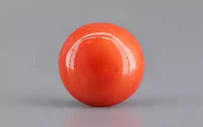 Red Coral (Moonga) - 4.29 Carats