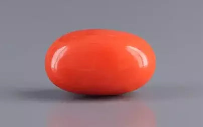 Red Coral (Moonga) - 5.22 Carats
