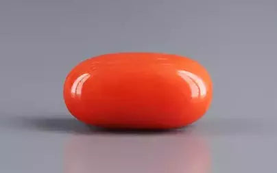 Red Coral (Moonga) - 6.48 Carats