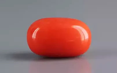 Red Coral (Moonga) - 5.65 Carats