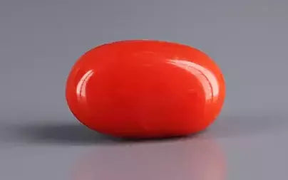 Red Coral (Moonga) - 5.97 Carats
