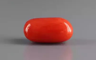 Red Coral (Moonga) - 4.11 Carats