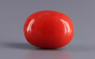 Red Coral (Moonga) - 3.88 Carats