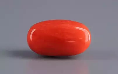 Red Coral (Moonga) - 4.15 Carats