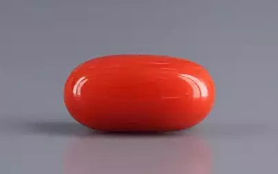 Red Coral (Moonga) - 6.50 Carats