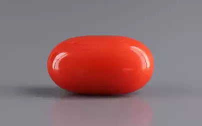 Red Coral (Moonga) - 5.79 Carats