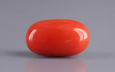 Red Coral (Moonga) - 5.96 Carats