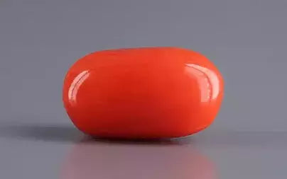 Red Coral (Moonga) - 4.17 Carats