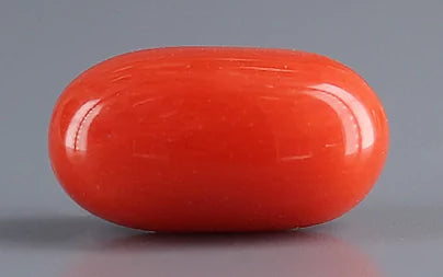 Red Coral (Moonga) - 5.70 Carats