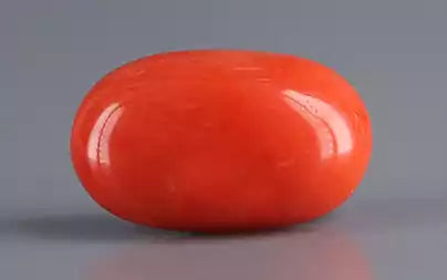 Red Coral (Moonga) - 5.28 Carats