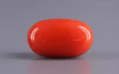 Red Coral - 5.53 Carats (Moonga - 6.03 Ratti)