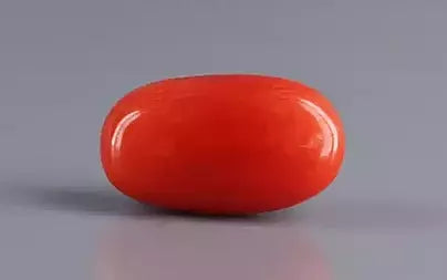 Red Coral (Moonga) - 4.07 Carats
