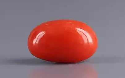 Red Coral (Moonga) - 5.12 Carats