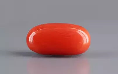 Red Coral (Moonga) - 5.68 Carats