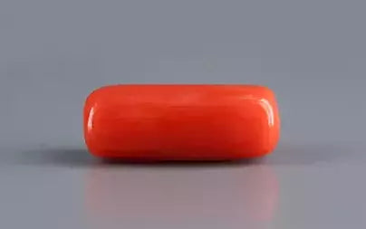 Red Coral (Moonga) - 7.04 Carats