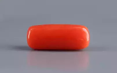 Red Coral (Moonga) - 6.53 Carats