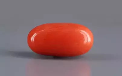 Red Coral (Moonga) - 5.96 Carats