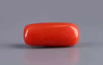 Red Coral (Moonga) - 6.47 Carats