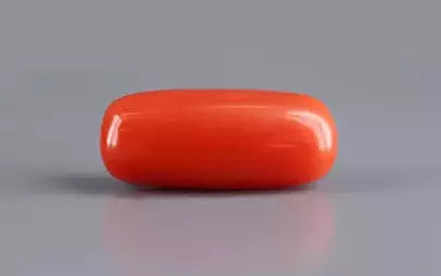 Red Coral (Moonga) - 5.68 Carats