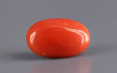 Red Coral (Moonga) - 7.02 Carats