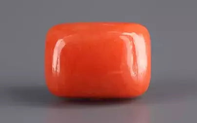 Red Coral (Moonga) - 4.97 Carats