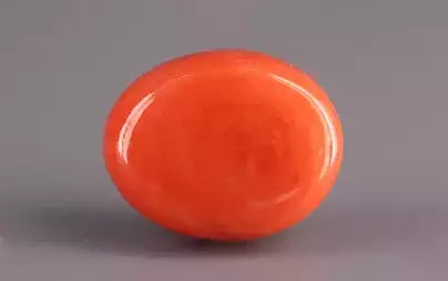 Red Coral (Moonga) - 13.66 Carats