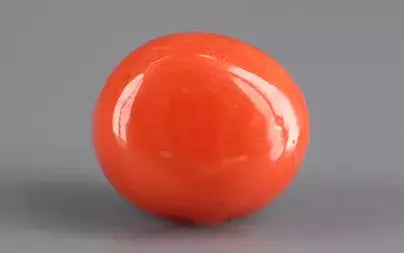 Red Coral (Moonga) - 6.67 Carats