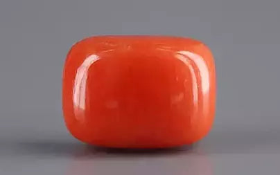 Red Coral (Moonga) - 4.98 Carats