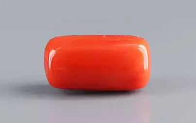 Red Coral (Moonga) - 17.69 Carats