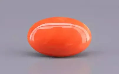 Red Coral - 8.22 Carats (Moonga - 8.96 Ratti)