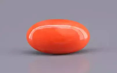 Red Coral - 7.07 Carats (Moonga - 7.71 Ratti)
