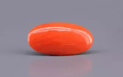 Red Coral - 4.89 Carats (Moonga - 5.33 Ratti)