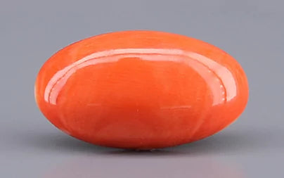 Red Coral - 8.14 Carats (Moonga - 8.87 Ratti)