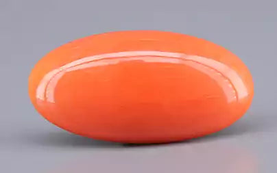 Red Coral - 9.97 Carats (Moonga - 10.87 Ratti)