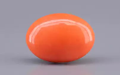 Red Coral - 10.35 Carats (Moonga - 11.28 Ratti)