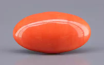 Red Coral - 10.90 Carats (Moonga - 11.88 Ratti)