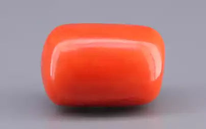 Red Coral (Moonga) - 22.59 Carats