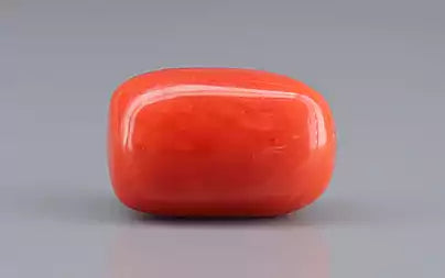 Red Coral (Moonga) - 15.21 Carats