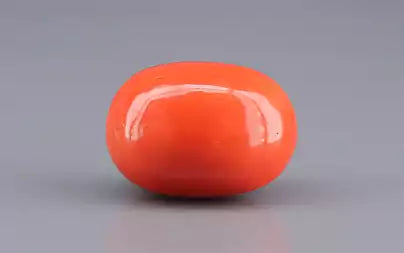 Red Coral (Moonga) - 14.41 Carats