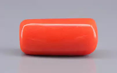 Red Coral (Moonga) - 16.44 Carats