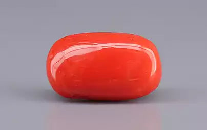Red Coral (Moonga) - 7.46 Carats