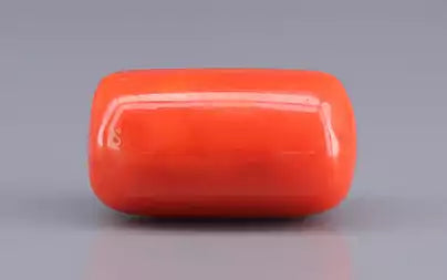 Red Coral (Moonga) - 16.25 Carats