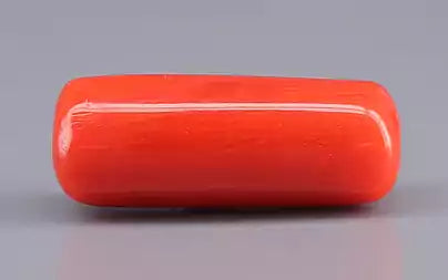 Red Coral (Moonga) - 7.61 Carats
