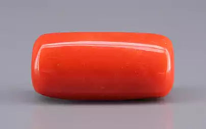 Red Coral - 16.58 Carats (Moonga - 18.07 Ratti)